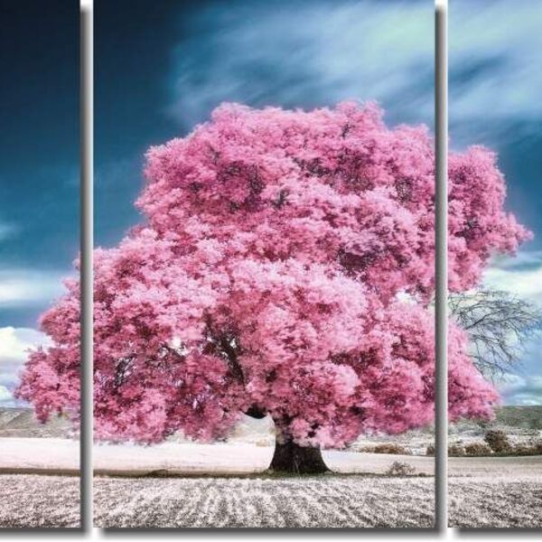 Quadro Decorativo Arvore Rosa Com Ceu Azul 3 Pecas