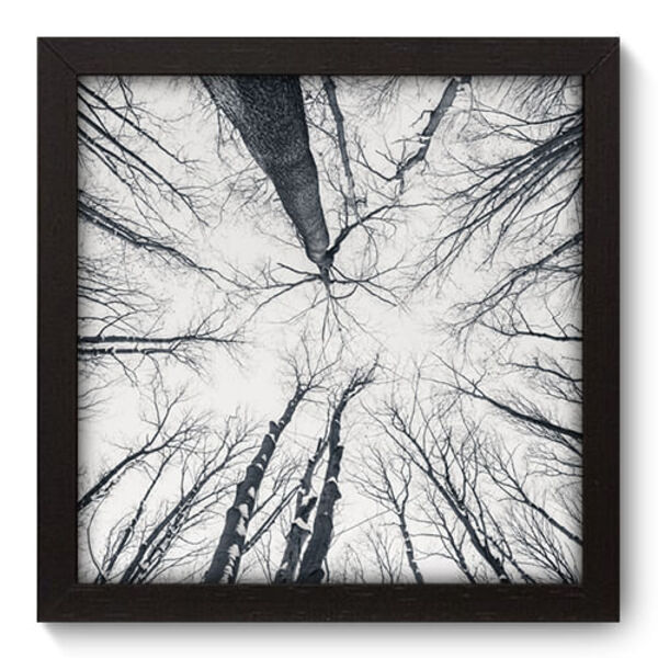 Quadro Decorativo - Árvores - 22cm X 22cm - 044qnpap