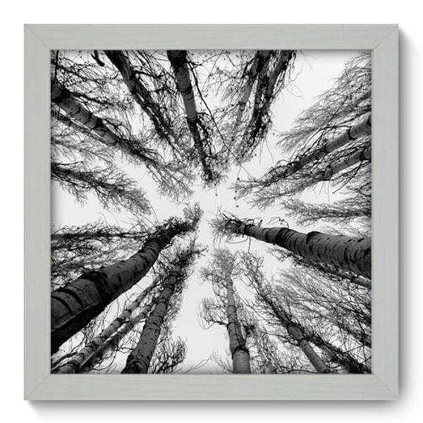 Quadro Decorativo - Árvores - 22cm X 22cm - 056qnpab