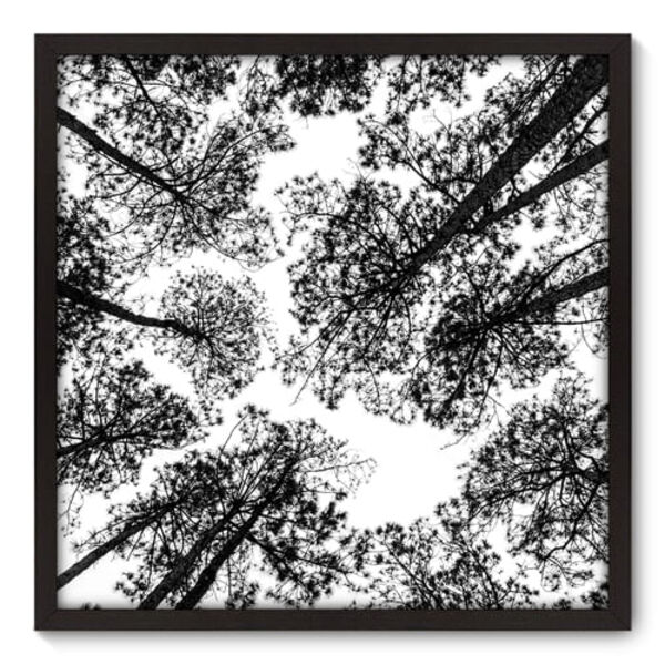 Quadro Decorativo - Árvores - 70cm X 70cm - 041qnpdp