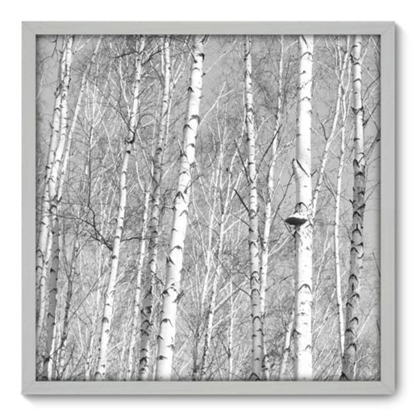 Quadro Decorativo - Árvores - 70cm X 70cm - 045qnpdb