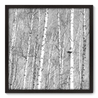 Quadro Decorativo - Árvores - 70cm X 70cm - 045qnpdp
