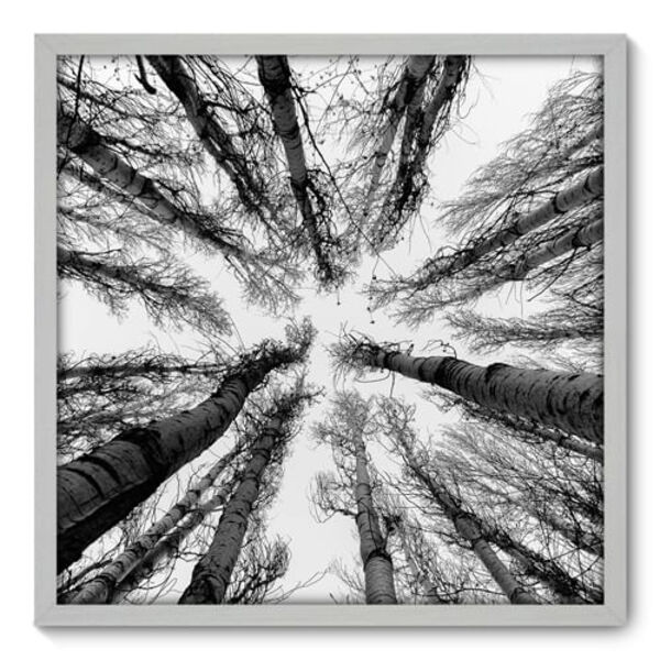 Quadro Decorativo - Árvores - 70cm X 70cm - 056qnpdb