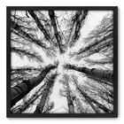 Quadro Decorativo - Árvores - 70cm X 70cm - 056qnpdp