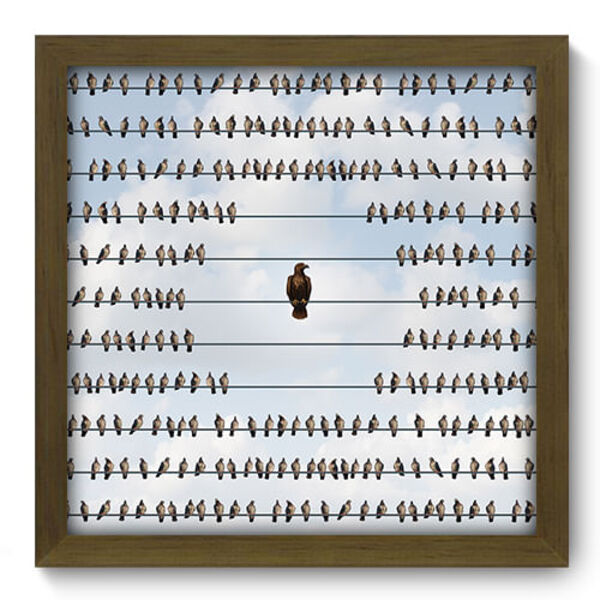 Quadro Decorativo - Aves - 33cm X 33cm - 205qdsm