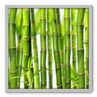 Quadro Decorativo - Bambu - 70cm X 70cm - 009qnddb