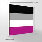 Quadro Decorativo - Bandeiras - Assexual