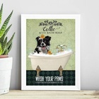 Quadro Decorativo Banheiro Border Collie 24x18cm - Com Vidro