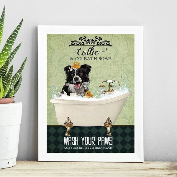 Quadro Decorativo Banheiro Border Collie 24x18cm - Com Vidro