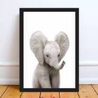 Quadro Decorativo Bebê Elefantinho 45x34cm - Com Vidro Moldur
