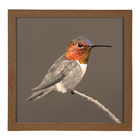 Quadro Decorativo Beija Flor com Moldura Marrom 30x30cm Arte Própria