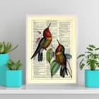 Quadro Decorativo Beija Flores Vintage 45x34cm Moldura:madeir