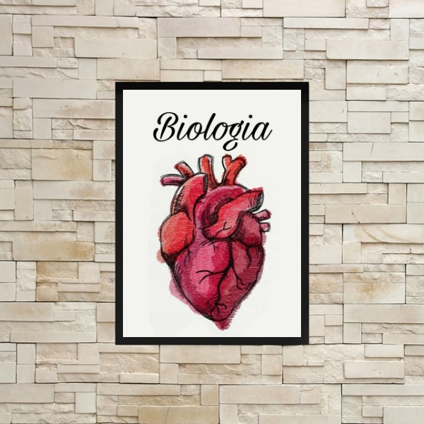 Quadro Decorativo Biologia Coração 33x24cm - Com Vidro Moldur