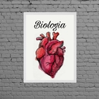 Quadro Decorativo Biologia Coração 45x34cm Moldura:madeira Pr