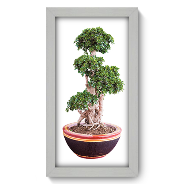 Quadro Decorativo Bonsai 19cm X 34cm 281qddb Leroy Merlin