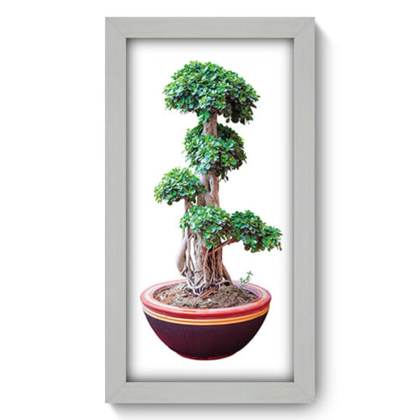 Quadro Decorativo - Bonsai - 19cm X 34cm - 282qddb