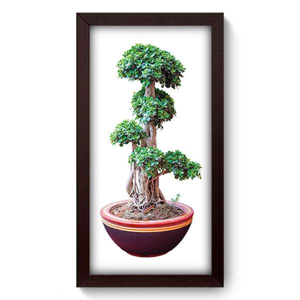 Quadro Decorativo - Bonsai - 19cm X 34cm - 282qddp