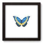 Quadro Decorativo - Borboleta - 22cm X 22cm - 091qdsp
