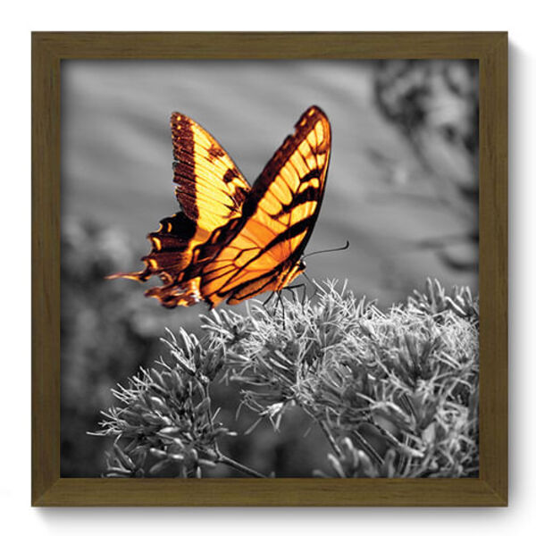 Quadro Decorativo - Borboleta - 33cm X 33cm - 117qdsm