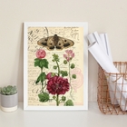 Quadro Decorativo Borboleta E Flor Vintage 45x34cm Moldura:ma