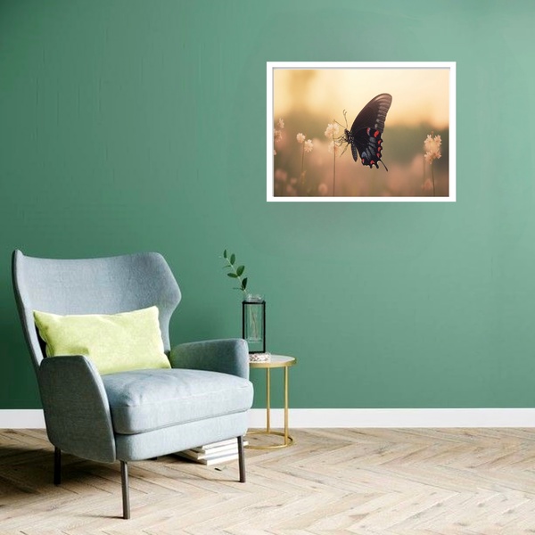 Quadro Decorativo Borboleta Jardim  - 50x70cm Moldura Preta