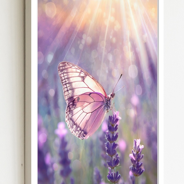 Quadro Decorativo Borboleta Rosa Raios Sol  - 70x50cm Moldura