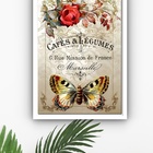 Quadro Decorativo Borboleta Vintage Café  - 70x50cm Moldura B