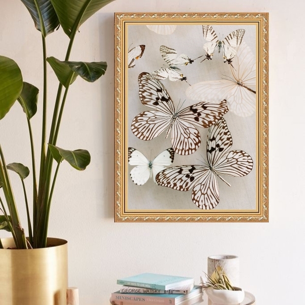 Quadro Decorativo Borboletas Soft 33x24cm Moldura Branca