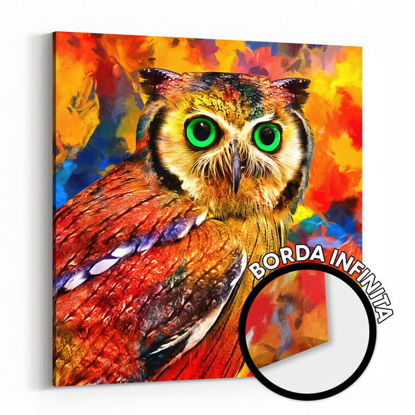 Quadro Decorativo Borda Infinita Coruja Abstrato Colorida