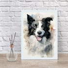 Quadro Decorativo Border Colie Aquarela 45x34cm - Com Vidro M