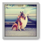 Quadro Decorativo - Border Collie - 33cm X 33cm - 120qdsb