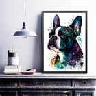 Quadro Decorativo Boston Terrier Aquarela 33x24cm - Com Vidro