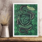 Quadro Decorativo Brasão Slytherin 45x34cm Moldura Branca