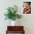 Quadro Decorativo Buda Neném Atrevido 33x24cm - Com Vidro Mol