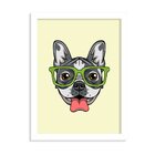 Quadro Decorativo Bulldog Francês Com Óculos Verde