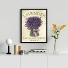Quadro Decorativo Buquê De Lavanda 24x18cm - Com Vidro Moldur