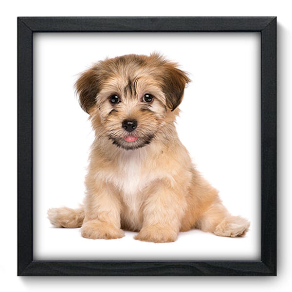 Quadro Decorativo - Cachorro - 33cm X 33cm - 186qdsp