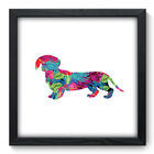 Quadro Decorativo - Cachorro - 33cm X 33cm - 271qdsp