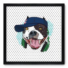 Quadro Decorativo - Cachorro - 50cm X 50cm - 016qnscp