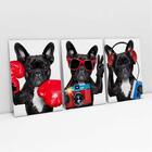 Quadro Decorativo Cachorro Buldogue Francês Divertido 3 Telas