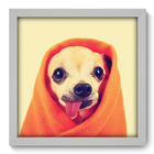 Quadro Decorativo - Cachorro Enrolado - 33cm X 33cm - 113qdsb