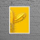 Quadro Decorativo Cacto Amarelo 33x24cm - Com Vidro Moldura:m