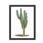 Quadro Decorativo Cacto Solo