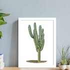 Quadro Decorativo Cacto Solo