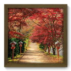 Quadro Decorativo - Caminho - 33cm X 33cm - 347qddm