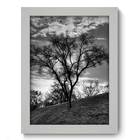 Quadro Decorativo - Campo - 19cm X 25cm - 130qdpb