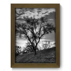 Quadro Decorativo - Campo - 19cm X 25cm - 130qdpm