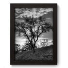 Quadro Decorativo - Campo - 19cm X 25cm - 130qdpp