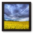 Quadro Decorativo - Campo - 22cm X 22cm - 051qnpap