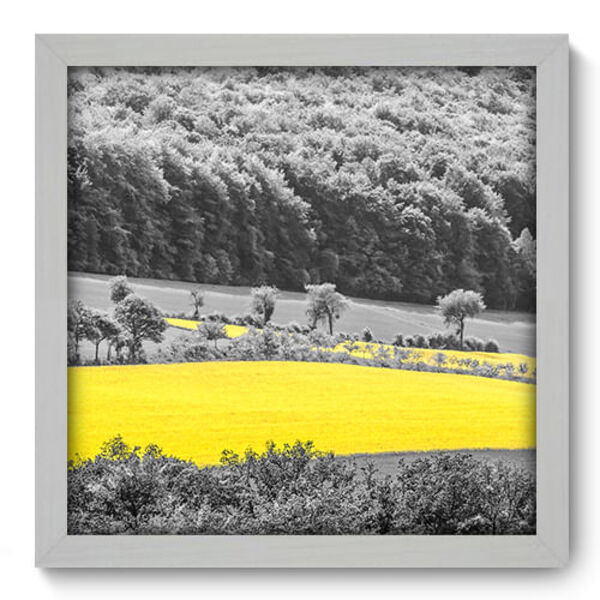Quadro Decorativo - Campo - 33cm X 33cm - 070qnpbb